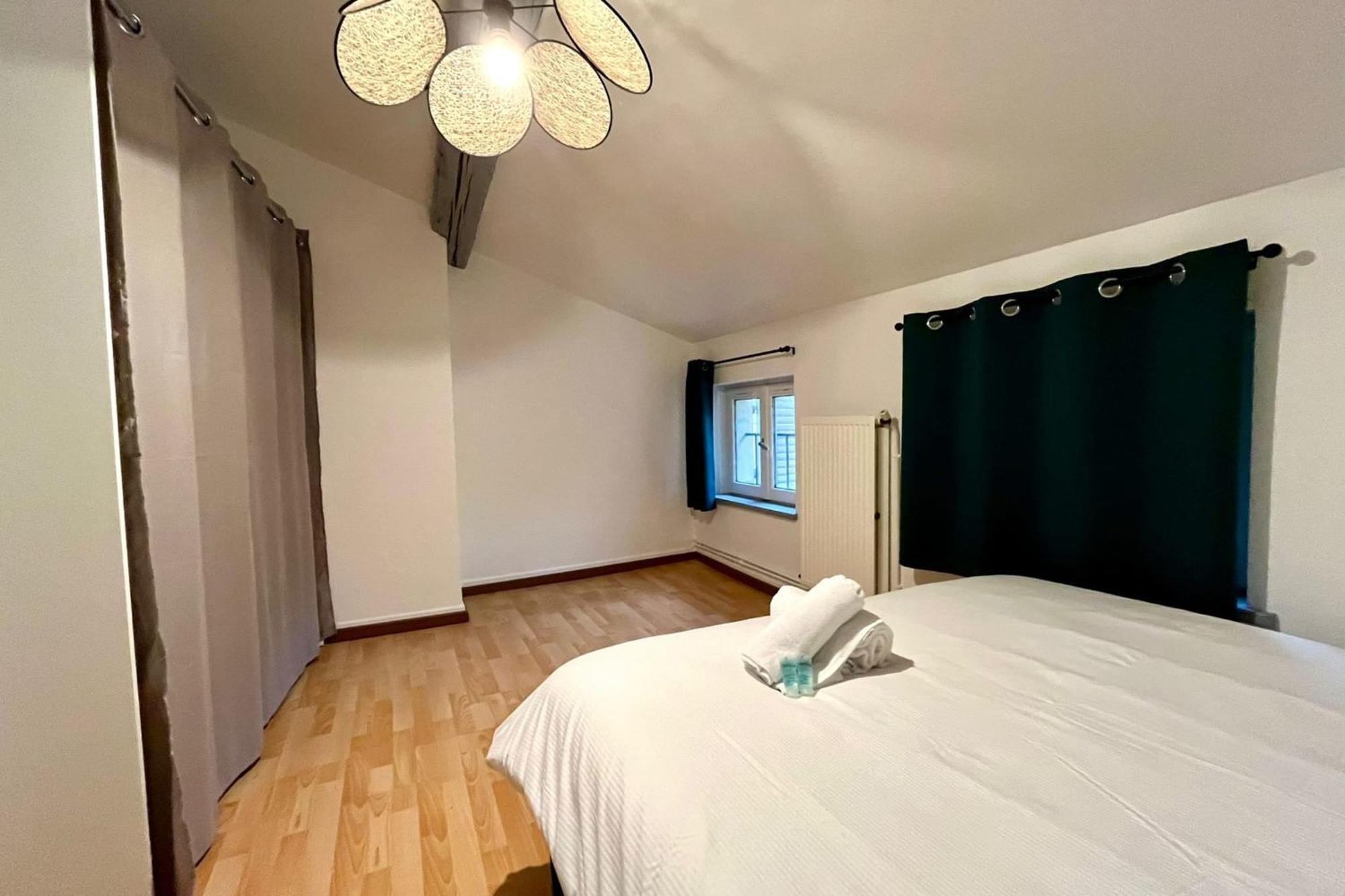 Le Duplex Des Dames Apartment Нанси Екстериор снимка
