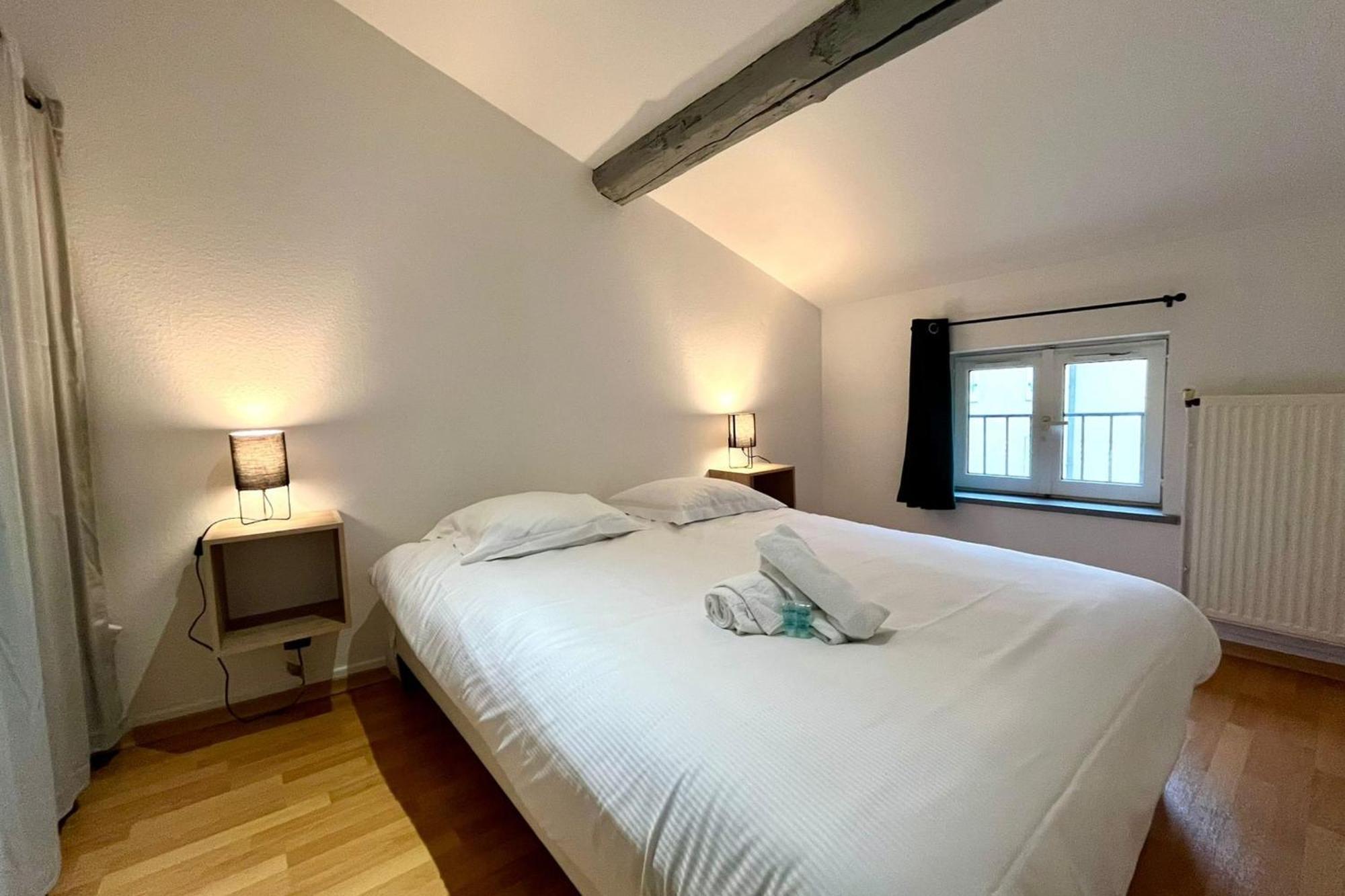Le Duplex Des Dames Apartment Нанси Екстериор снимка